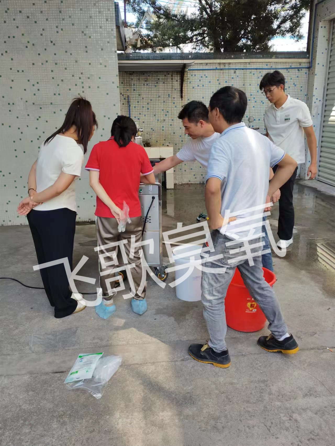 猪皮如何使用臭氧发生器机进行杀菌消毒漂白